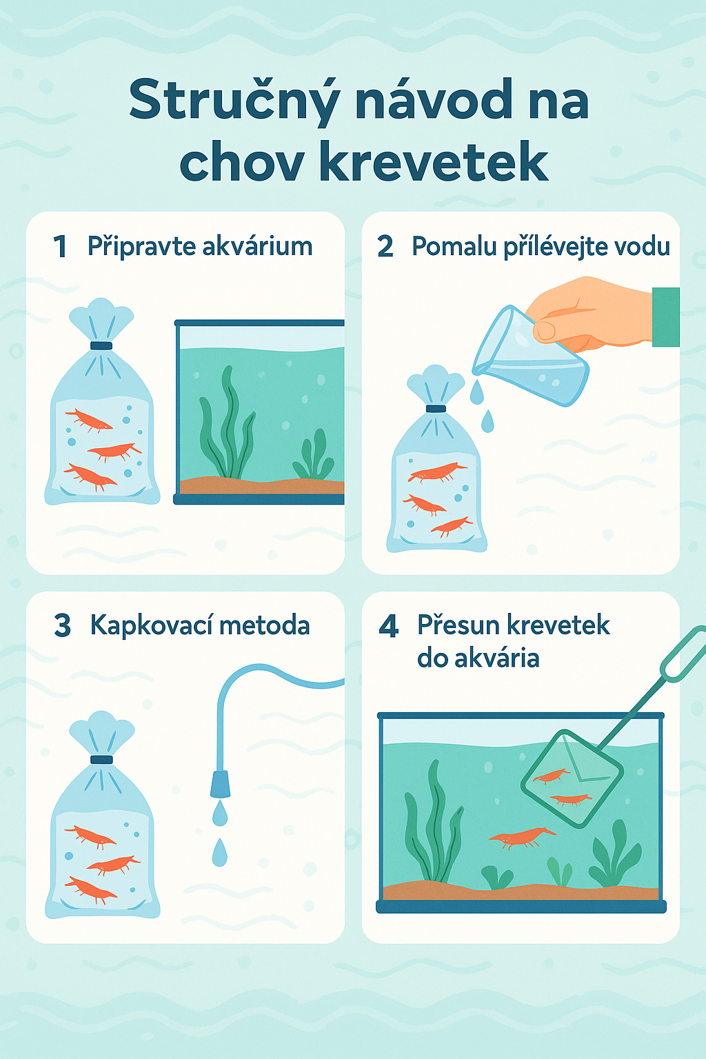 Jak správně aklimatizovat krevetky