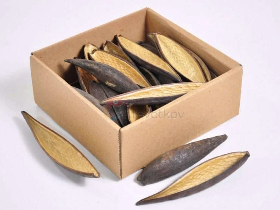 Canoinhas pod 10-14cm