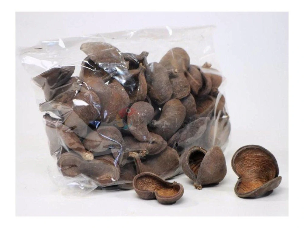 Badam nut 5-8 cm