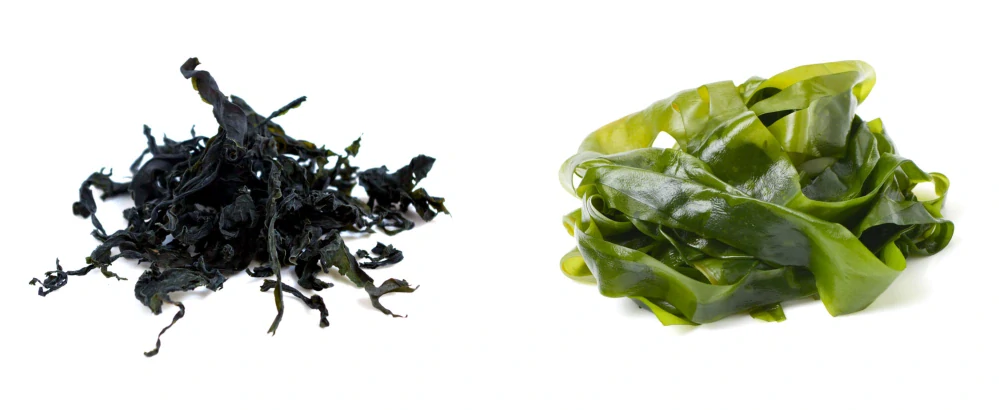 Řasa Wakame 10g