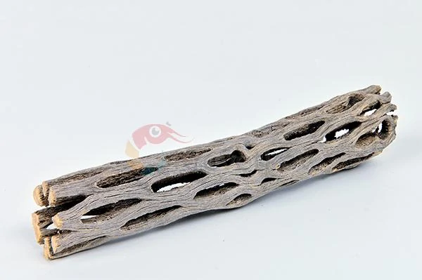 Cholla wood