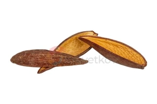 Canoinhas pod 10-14cm