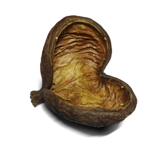 Badam nut 5-8 cm