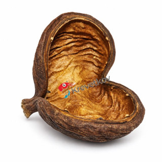 Badam nut 5-8 cm