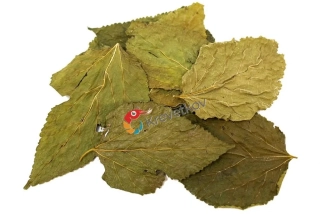 Listy moruše 10g