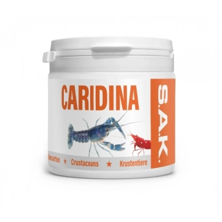 S.A.K. Caridina excellent