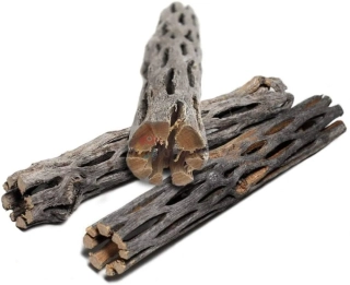 Cholla wood