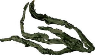 Řasa Wakame 10g