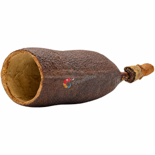 Coubaril Schote
