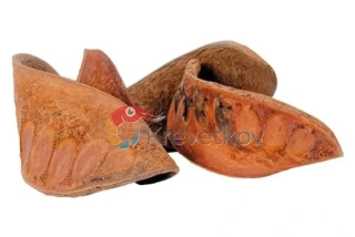 AquaCurl 8-10cm