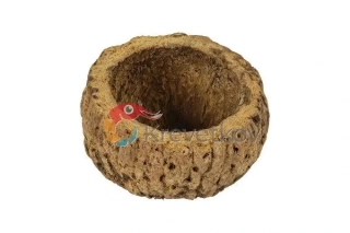 Půlka ořechu para