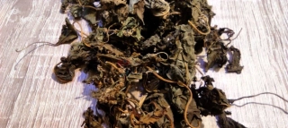Listy Amarantu 10g